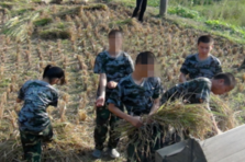 農(nóng)家勞動(dòng)，感悟生活，洗滌心